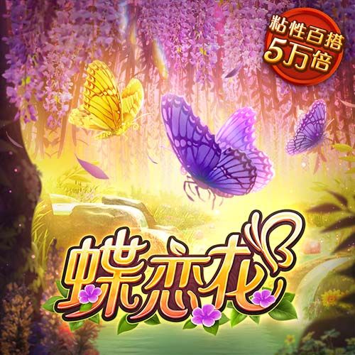 星空8688tv直播下载